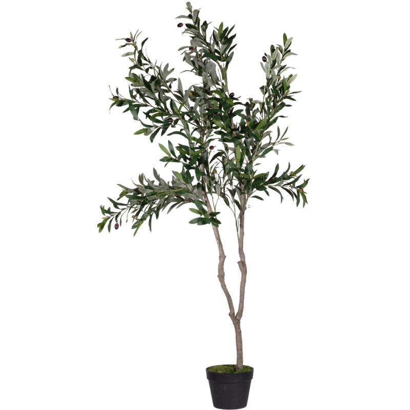 PAPERFLOW olivier artificiel, 155 cm haut, feuilles polyester